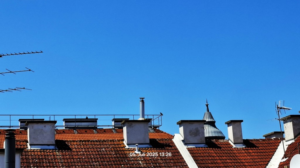 In den beiden oberen Bilddritteln ein blitzblauer Himmel, im unteren Drittel ein dunkelrotes Dach mit Rauchfängen